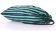 183833_blue-green-line_2.jpg